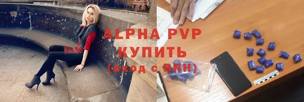 шишки Каменка