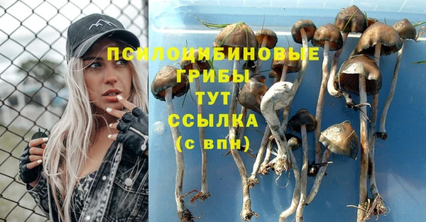 шишки Каменка