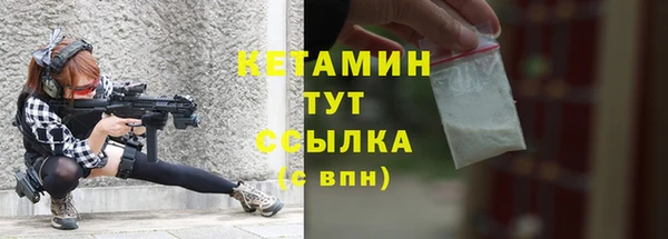 шишки Каменка