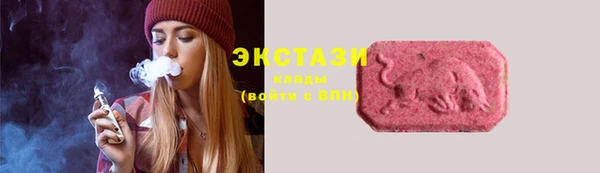 шишки Каменка