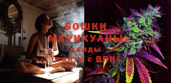 шишки Каменка