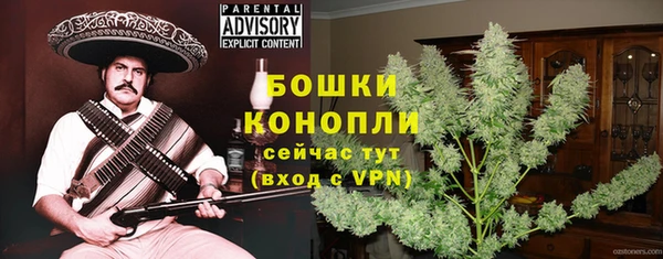 дмт Каменногорск