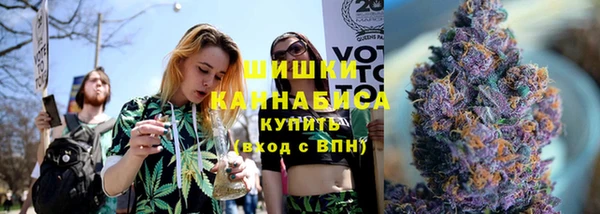 дмт Каменногорск