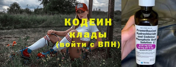 шишки Каменка