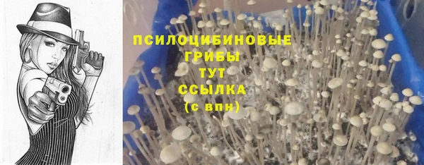 дмт Каменногорск