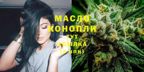 дмт Каменногорск