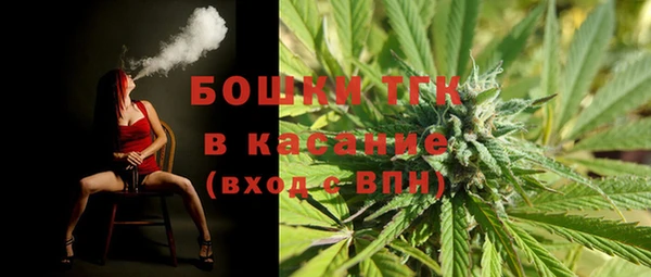 дмт Каменногорск
