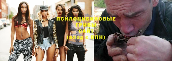 шишки Каменка